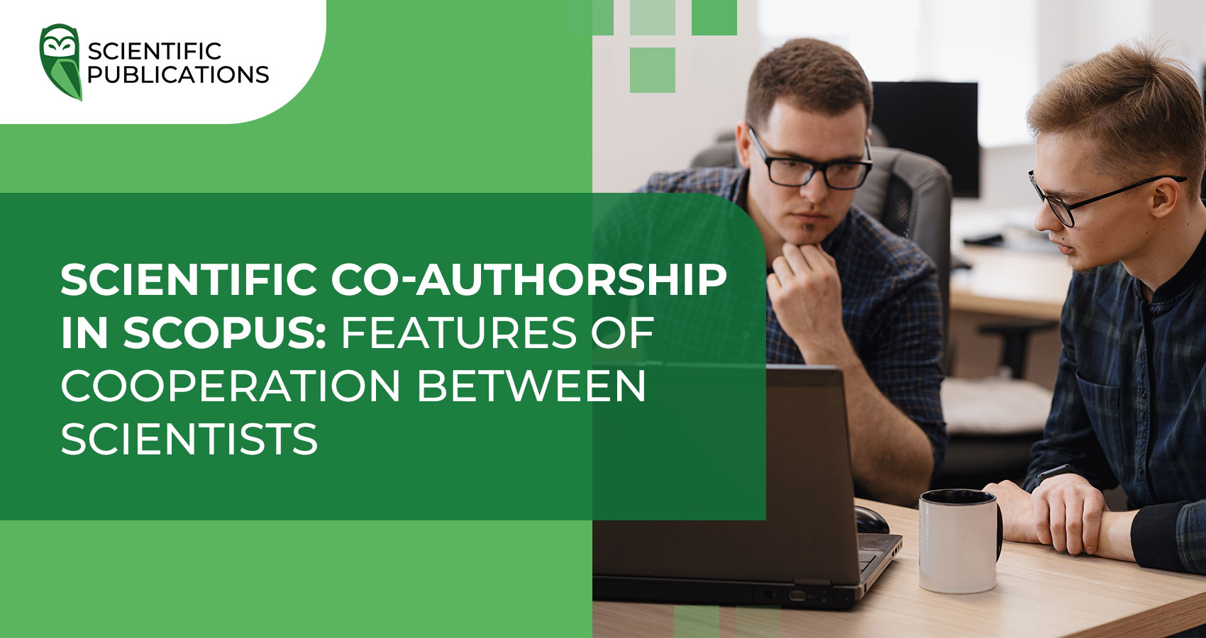 Scientific co-authorship in Scopus: features of cooperation between scientists